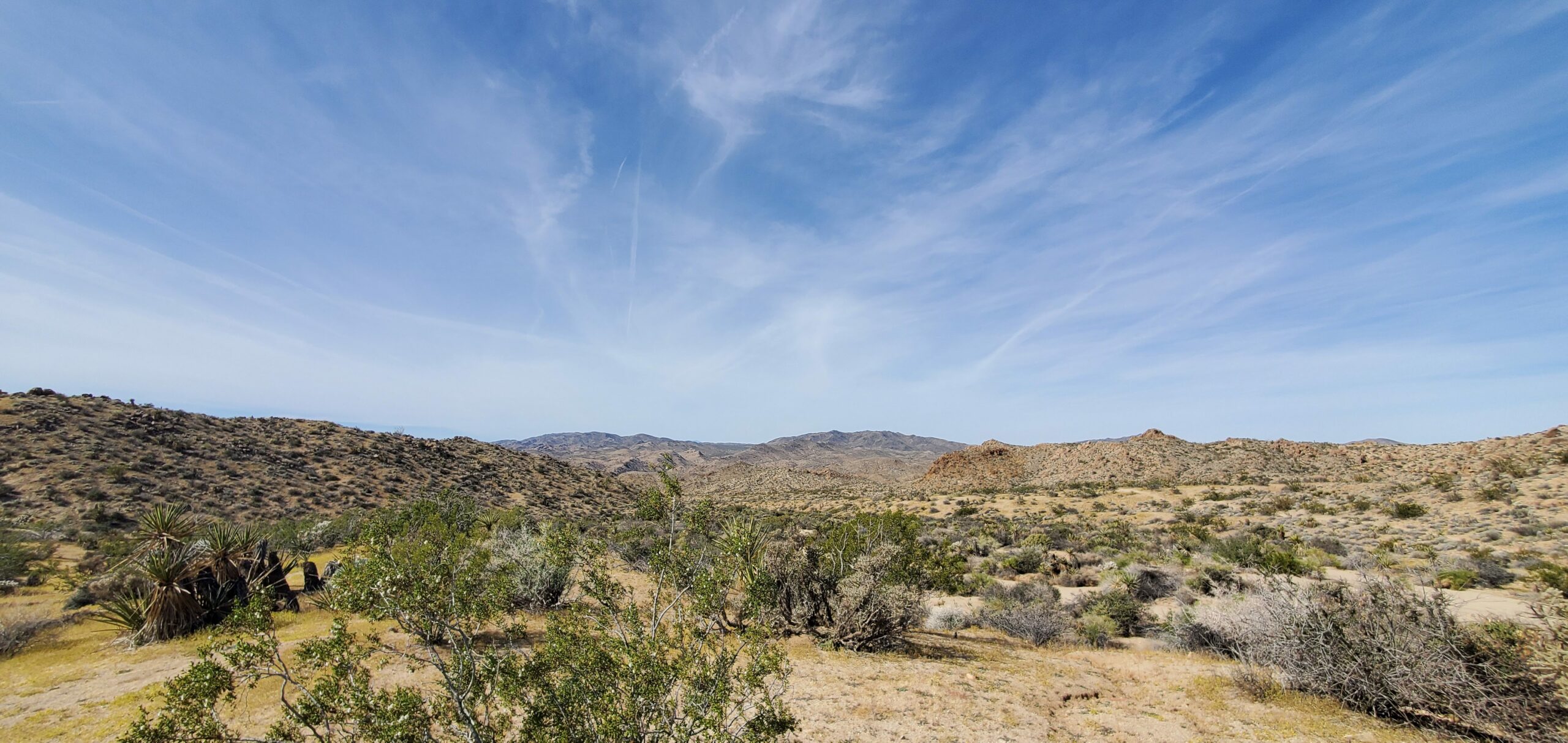 Magic and Science in the Mojave Desert